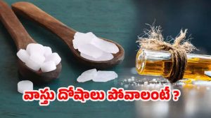 Vastu Tips: కర్పూరంతో ఈ పరిహారాలు చేస్తే.. ఎలాంటి వాస్తు దోషాలైనా మటుమాయం !