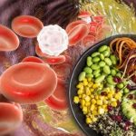 Bad Cholesterol: చెడు కొలెస్ట్రాల్ తగ్గించే.. బెస్ట్ ఫుడ్స్ ఏంటో తెలుసా ?