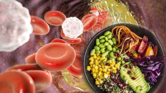 Bad Cholesterol: చెడు కొలెస్ట్రాల్ తగ్గించే.. బెస్ట్ ఫుడ్స్ ఏంటో తెలుసా ?