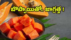 Papaya Side Effects: బొప్పాయి ఎక్కువగా తింటే.. శరీరంలో జరిగేదిదే ?