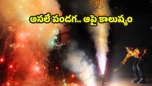 Diwali Pollution: దీపావళి ఎఫెక్ట్, పెరగనున్న కాలుష్యం.. ఈ జాగ్రత్తలు తప్పనిసరి