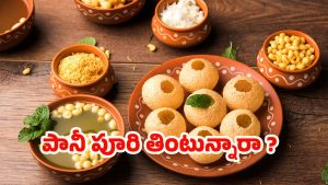 Pani Puri Benefits: పానీ పూరి తింటున్నారా ? అయితే ఇది మీ కోసమే !