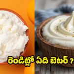 Greek Yoghurt Vs Hung Curd: గ్రీక్ యోగర్ట్, హంగ్ కర్డ్.. ఆరోగ్యానికి ఏది బెస్ట్ ?