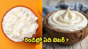 Greek Yoghurt Vs Hung Curd: గ్రీక్ యోగర్ట్, హంగ్ కర్డ్.. ఆరోగ్యానికి ఏది బెస్ట్ ?