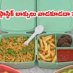Plastic Lunch Box: బాబోయ్, ప్లాస్టిక్ లంచ్ బాక్స్ వాడితే.. ఇంత డేంజరా ?