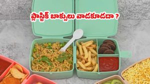 Plastic Lunch Box: బాబోయ్, ప్లాస్టిక్ లంచ్ బాక్స్ వాడితే.. ఇంత డేంజరా ?