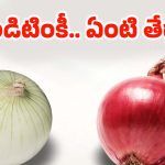 White Onion Vs Red Onion: ఎరుపు, తెలుపు ఉల్లిపాయల మధ్య తేడా మీకు తెలుసా ? నిజం తెలిస్తే షాక్ అవుతారు !
