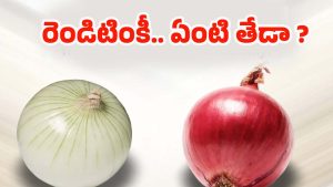 White Onion Vs Red Onion: ఎరుపు, తెలుపు ఉల్లిపాయల మధ్య తేడా మీకు తెలుసా ? నిజం తెలిస్తే షాక్ అవుతారు !