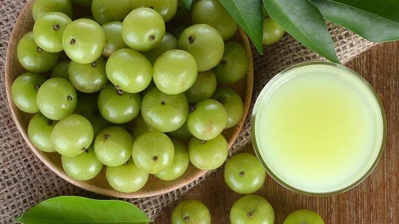 Amla: ఉసిరి జ్యూస్ లేదా పొడి, దేనితో.. ఎక్కువ ప్రయోజనాలు ? Amla: ఉసిరి జ్యూస్ లేదా పొడి, దేనితో.. ఎక్కువ ప్రయోజనాలు ?