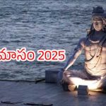 Karthika Masam 2025: కార్తీక మాసంలో చేయాల్సిన, చేయకూడని పనులు ఏంటి ?