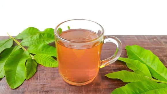 Guava Leaf Tea: జామ ఆకుల టీ తాగితే.. ఈ ఆరోగ్య సమస్యలన్నీ దూరం అవుతాయ్ !