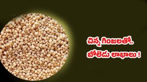 Poppy Seeds: గసగసాలతో గంపెడు లాభాలు.. ఈ వ్యాధులన్నీ పరార్ !