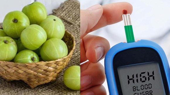 Diabetes: ఉసిరి ఇలా తింటే.. డయాబెటిస్ పూర్తిగా కంట్రోల్ !