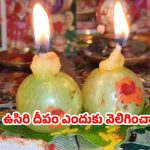 Karthika Masam 2025: కార్తీక మాసంలో.. ఉసిరి దీపం ఎందుకు వెలిగించాలి ?
