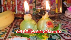 Karthika Masam 2025: కార్తీక మాసంలో.. ఉసిరి దీపం ఎందుకు వెలిగించాలి ?
