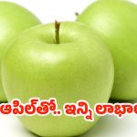 Green Apple: ఖాళీ కడుపుతో గ్రీన్ ఆపిల్ తింటే.. మతిపోయే లాభాలు !