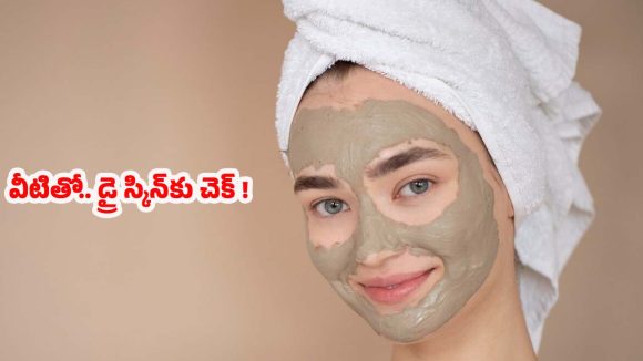 Dry Skin: డ్రై స్కిన్ సమస్యా ? ఇలా చేస్తే బెస్ట్ రిజల్ట్