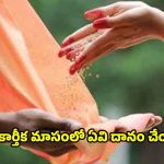 Karthika Masam 2025: కార్తీక మాసంలో ఇవి దానం చేస్తే.. జన్మజన్మల పుణ్యం