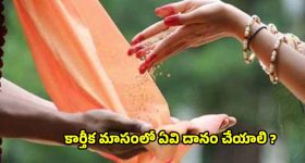 Karthika Masam 2025: కార్తీక మాసంలో ఇవి దానం చేస్తే.. జన్మజన్మల పుణ్యం