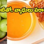 Health Tips: డైలీ ఈ 3 కలిపి తింటే.. వ్యాధులు రమ్మన్నా రావు తెలుసా ?