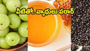 Health Tips: డైలీ ఈ 3 కలిపి తింటే.. వ్యాధులు రమ్మన్నా రావు తెలుసా ?