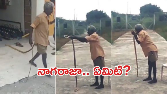 Viral News: ఎంతకొట్టినా చావడం లేదని.. నోటితో కొరికి పాముని చంపేశాడు, వింత ఘటన ఎక్కడ?