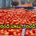 AP Govt: ఏపీ ప్రజలకు తీపికబురు.. ఎన్ని కిలోలైనా తీసుకెళ్లొచ్చు, అదెలా సాధ్యం