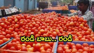 AP Govt: ఏపీ ప్రజలకు తీపికబురు.. ఎన్ని కిలోలైనా తీసుకెళ్లొచ్చు, అదెలా సాధ్యం