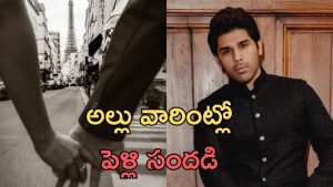 Allu Sirish engagement : రూమర్స్ నిజమే.. ఎంగేజ్మెంట్ డేట్ ప్రకటించిన అల్లు శిరీష్.. ఎప్పుడంటే?