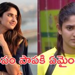 Bigg Boss Ayesha: శివంగిలా రెచ్చిపోయిన ఆయేషా సైలెంట్ , అసలు కారణమేంటంటే?