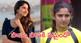 Bigg Boss Ayesha: శివంగిలా రెచ్చిపోయిన ఆయేషా సైలెంట్ , అసలు కారణమేంటంటే?