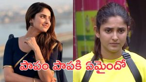 Bigg Boss Ayesha: శివంగిలా రెచ్చిపోయిన ఆయేషా సైలెంట్ , అసలు కారణమేంటంటే?