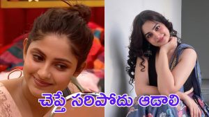 Bigg Boss Ayesha : కెప్టెన్సీ చేజర్చుకోవడమే కాకుండా సైకో బిహేవియర్, కొంచెం డేంజర్ లా ఉందేంటి?