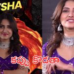 Bigg Boss 9 Wild Card : తమిళ్ బిగ్ బాస్ లో 65 రోజులు ఉన్నా, ఈ లోపు నా బాయ్ ఫ్రెండ్ ఇంకో అమ్మాయితో…