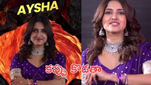 Bigg Boss 9 Wild Card : తమిళ్ బిగ్ బాస్ లో 65 రోజులు ఉన్నా, ఈ లోపు నా బాయ్ ఫ్రెండ్ ఇంకో అమ్మాయితో…