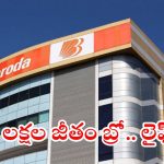 BANK OF BARODA: బ్యాంక్ ఆఫ్ బరోడాలో ఉద్యోగాలు.. ఈ జాబ్ కొడితే లక్షల్లో సాలరీలు, సెలక్షన్ విధానం ఇదే