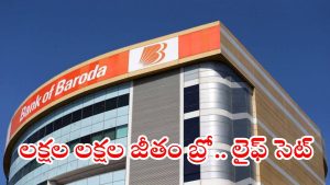 BANK OF BARODA: బ్యాంక్ ఆఫ్ బరోడాలో ఉద్యోగాలు.. ఈ జాబ్ కొడితే లక్షల్లో సాలరీలు, సెలక్షన్ విధానం ఇదే