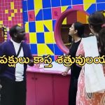 Emmanuel vs Thanuja: ఇది సార్ మీ అసలు రంగు.. ఇప్పటివరకు మీరు చేసిందంతా నాటకం