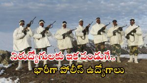 BSF Recruitment: బార్డర్ సెక్యూరిటీ ఫోర్సులో భారీగా ఉద్యోగాలు.. నెలకు రూ.69,100 జీతం, ఇంకెందుకు ఆలస్యం