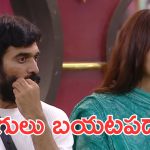 Bigg Boss 9 : భరణి ఓపెన్ అయ్యాడు గేమ్ మొదలుపెట్టాడు, ఏకంగా దివ్యతోనే గొడవ