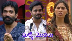 Bigg Boss 9 Promo : అన్నా చెల్లి.. ఓ తెలుగు రాని అబ్బాయ్, దివ్య స్మార్ట్ గేమ్ ఆడుతుందా?