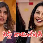 Bigg Boss 9 : తెలుగు రాని వాళ్లని తీసుకువస్తే ఇలాగే ఉంటుంది.. అసలు షో చూస్తున్నావా ఫ్లోరా?