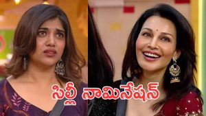 Bigg Boss 9 : తెలుగు రాని వాళ్లని తీసుకువస్తే ఇలాగే ఉంటుంది.. అసలు షో చూస్తున్నావా ఫ్లోరా?