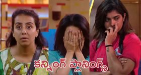 AP Dairy Farmers: పాడి రైతులకు గుడ్ న్యూస్.. పశుగ్రాసం సాగుకు 100% రాయితీ.. దరఖాస్తు ఇలా!
