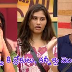 Bigg Boss 9 : 2 టాస్క్ లతో స్కోర్స్ తారుమారు, నాశనం చేసిన రీతు, సేఫ్ జోన్ కి వెళ్ళిపోయిన ఆ ముగ్గురు