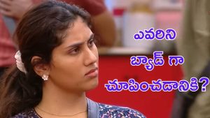 Bigg Boss 9 Divya : దివ్య పిచ్చిదా? బిగ్ బాస్ తో మాట్లాడడానికి కొత్త స్ట్రాటజీ నా?
