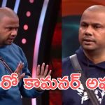 Bigg Boss 9 : ఎలిమినేట్ అయిపోయిన మరో కామనర్, ట్రోఫీ సెలెబ్రిటీలకే అంకితమా?