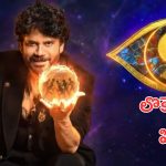 Bigg Boss 9 : బిగ్ బాస్ యాజమాన్యం సంచలన నిర్ణయం, హోస్ట్ గా నాగార్జున ఇక లేనట్లేనా?