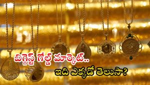 Biggest Gold Market: మన దేశంలో అతిపెద్ద బంగారం హోల్ సేల్ మార్కెట్ ఎక్కడుందో తెలుసా..? ఇక్కడ నుంచే గోల్డ్ డిస్ట్రిబ్యూషన్