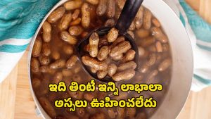 Boiled Peanuts Benefits: ఉడకబెట్టిన వేరుశనగలు తింటున్నారా? మీ ఆరోగ్యం ఇలా మారిపోతుంది..